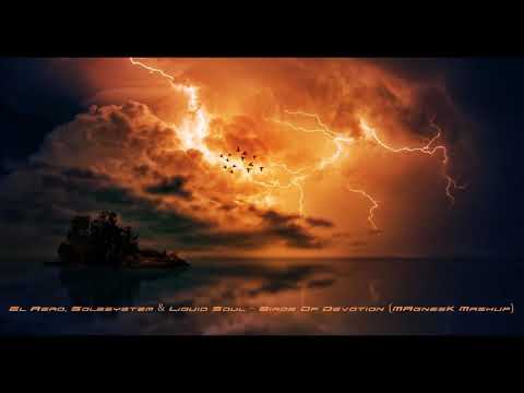 Solesystem & El Aero vs Liquid Soul - Birds of Devotion (MAgnes K's Massive  Mashup)