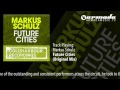 Markus Schulz - Future Cities (Original Mix) 
