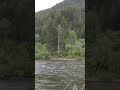 Marrow of the Earth🎣 Beautiful Montana Wilderness Clark Fork River Area 🇺🇲