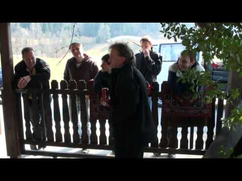 HARMONIKARSKI ORKESTER BARBARA VELENJE