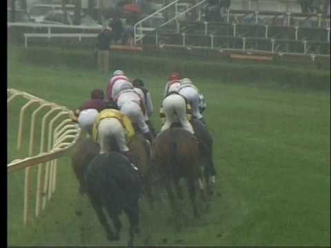 LL, 17. 4. 2017, 5. dostih - CENA společnosti Petr Čech Sport