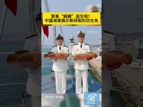 軍事“錦鯉”誕生啦！大連艦艇開放活動現場，中國海軍展示新研製的仿生魚。#軍事 #仿生魚