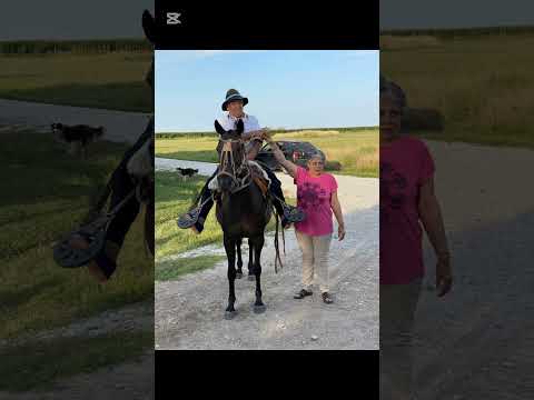 DESFILE GAUCHITO GIL LAZZARINO SANTA FE 10/01/2026