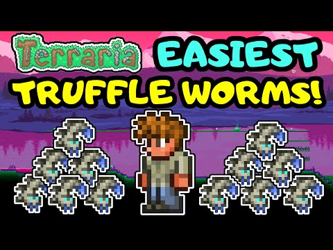 EASIEST TERRARIA TRUFFLE WORM FARM! Simple Truffle Worm Farm Design! Beginner Guide Step By Step!