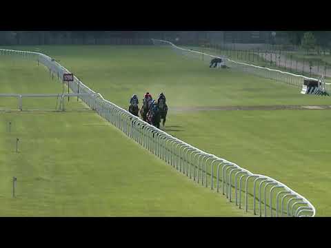 2021.06.05. 07. futam - MILLENNIUMI DÍJ (HUN Gd-1) (NGL-III.)