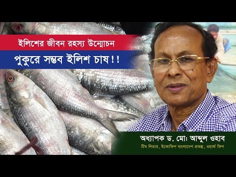 download lagu mp3 mp4 Hilsa Fish Farming, download lagu Hilsa Fish Farming gratis, unduh video klip Hilsa Fish Farming