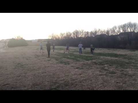 Go Fetch! Dog Training