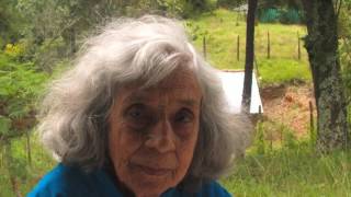 If Not Now (Carrie Newcomber)