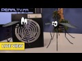 Vidéo