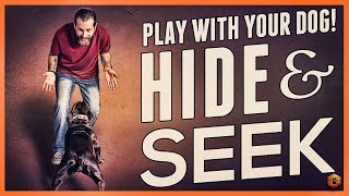 You Should be Playing Dog Hide and Seek - Learn How!