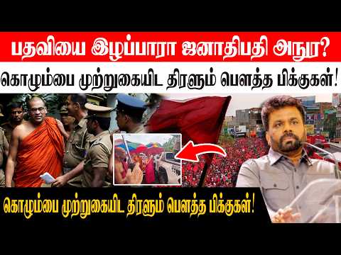 பதவியை இழப்பாரா ஜனாதிபதி அநுர? கொழும்பை முற்றுகையிட திரளும் பௌத்தபிக்குகள் நீதிமன்றம் அதிரடி உத்தரவு