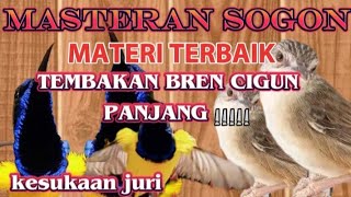 Download lagu MASTERAN SOGON MATERI TERBAIK!!! TEMBAKAN BREN CIGUN PANJANG mp3
