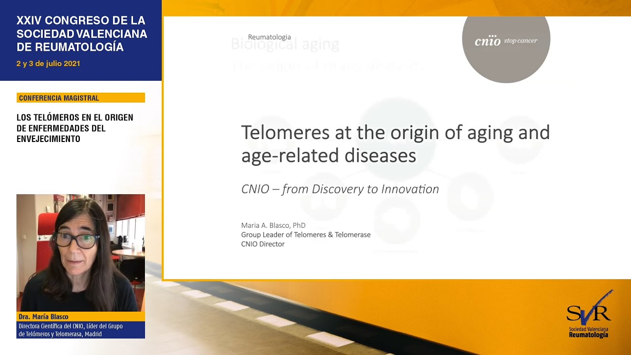 Los telómeros en el origen de enfermedades del envejecimiento
