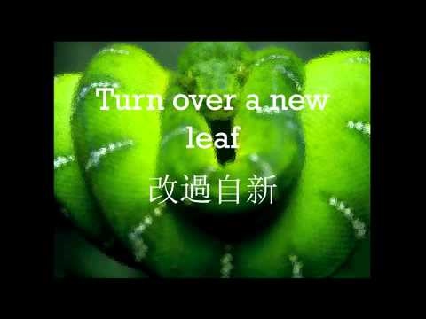 每日一句學英文- Turn over a new leaf (每日一句學英文- Turn over a new leaf)