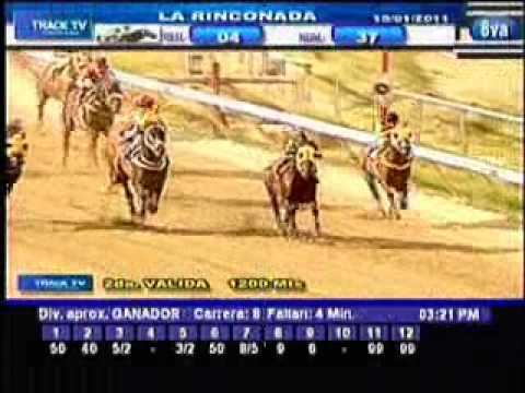 Resumen Sábado, 15 de Enero de 2011 - La Rinconada
