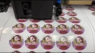 Graphtec Cut_1 Graphtec Cut_1