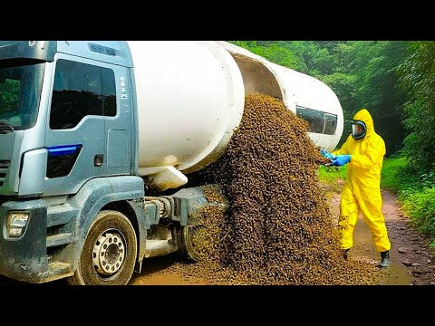 Scientists Mocked Brazil’s Plan To Release Super Ants — Until The Jungle Started Changing