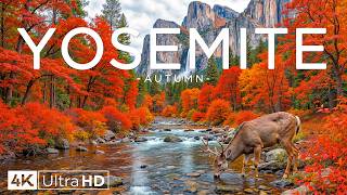 Yosemite Autumn 4K – A World Painted in Gold 🍁 Fall Foliage, El Capitan & Yosemite Valley Views