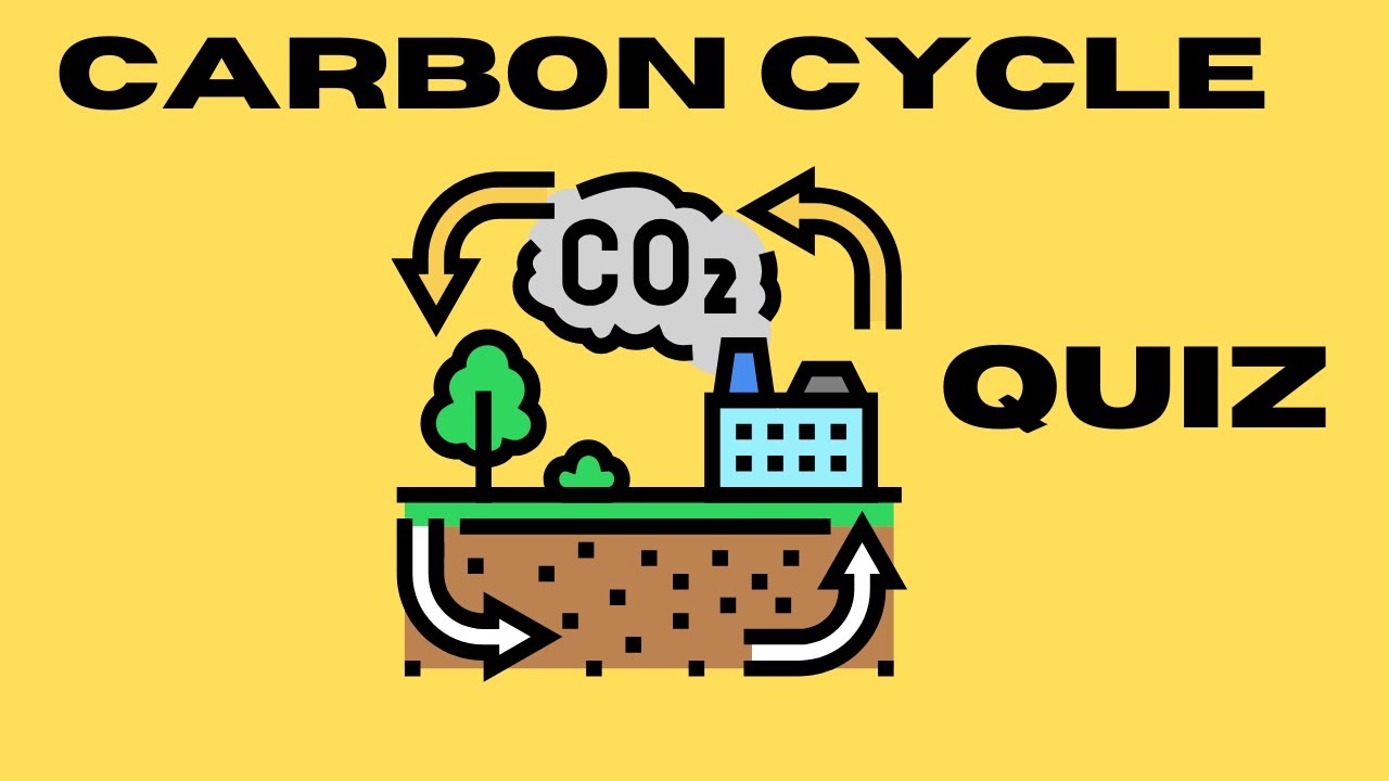 Carbon Cycle quiz