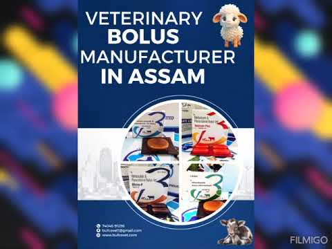 BFHEAL Herbal Wound Spray, For VETERINARY, Packaging Size: 100ML