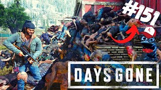 DAYS GONE #151 - HORDA DA SERRARIA | GAMEPLAY | [ PS4 ]