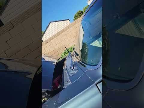 1964 Chevrolet Chevelle Malibu (CC-2096167) for sale in Palmdale, California