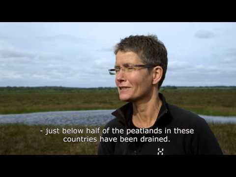 Peatlands – climate regulation and biodiversity
