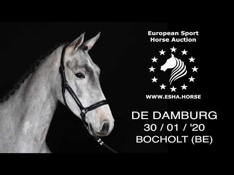 ZZ Top: Zinedine x Numero Uno