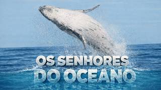 O MUNDO SECRETO DAS BALEIAS | Revelando mistérios dos gigantes do oceano