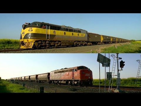 Push-Pull Broad Gauge SSR Grain Train Departs Gheringhap (3/10/2019) - PoathTV Australian Railways