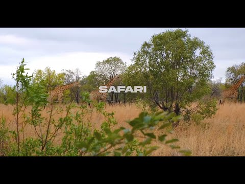 Kemyrah - Safari feat. Double'NN (Lyrics Video)