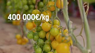 Thumbnail del capítulo