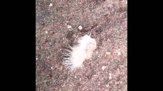 there is always something better