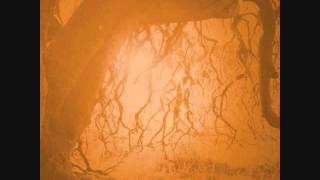 Golden Void Shady Grove