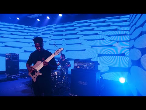 Ectogenesis - Animals as Leaders