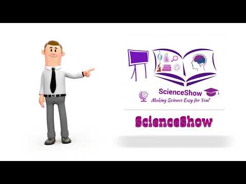 Scientific Research Methods: Introduction to Research Principles and Methodology