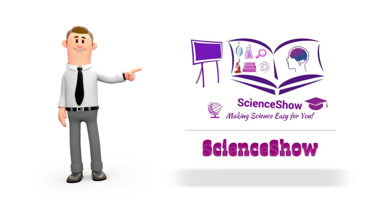 Research Proposal Contents: Measurement Procedures, Sampling, Data Collection, and Data Analysis