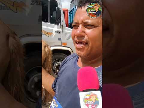 Feira de Cavalo de Abreu e Lima-PE Sábado: 07/03/26 #cavalo #feira #pecuarista