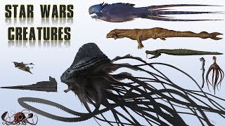 20 Biggest Star Wars Monsters | Explained