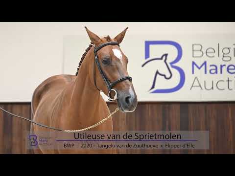 Utileuse van de Sprietmolen