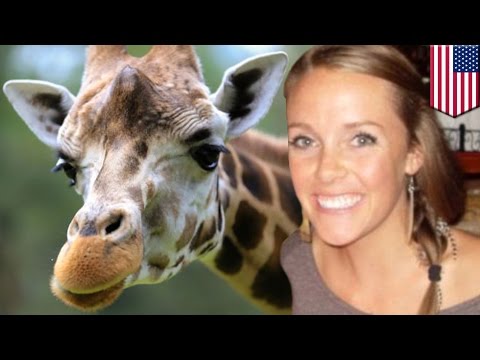pourquoi la girafe a-t-elle un long cou