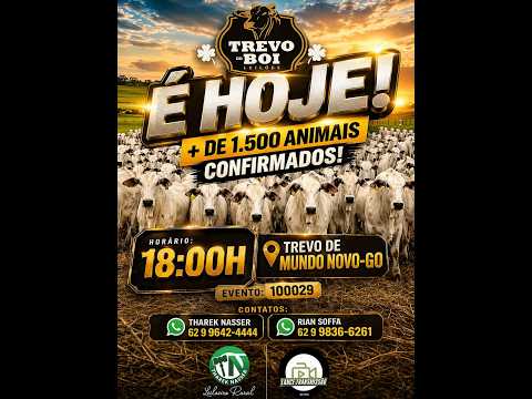 4º LEILÃO TREVO DO BOI LEILOES 14/04/2026 - MUNDO NOVO-GO