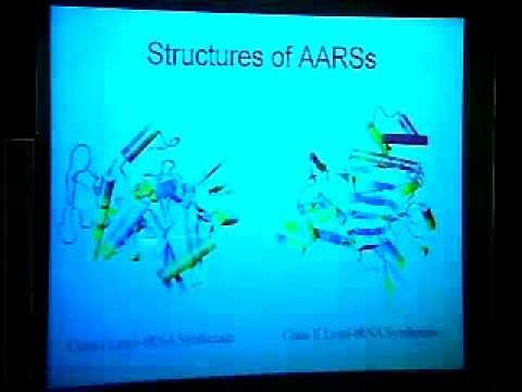TCBG Summer School 2003: Bioinformatics of Proteins - Sequence and Structure Alignment Algorithms