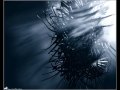 Metaljonus Eternal Darkness