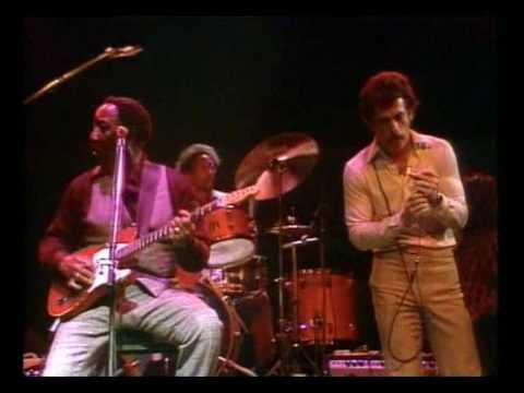 Muddy Waters - Caldonia