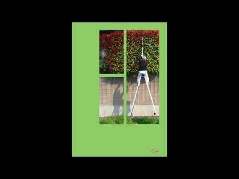 [WRP] SG Lewis, Ty Dolla $ign, Lucky Daye - Vibe Like This