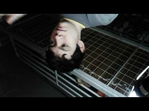 Quando il prof si gira