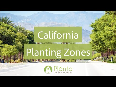 YouTube video about: What planting zone is ramona ca?