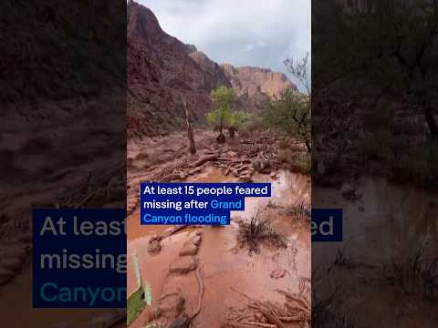 At least 15 people feared missing after Grand Canyon flooding | DW News