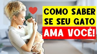 Como Saber se Seu Gato Ama Você – Esses Sinais Não Mentem! 💜🐈